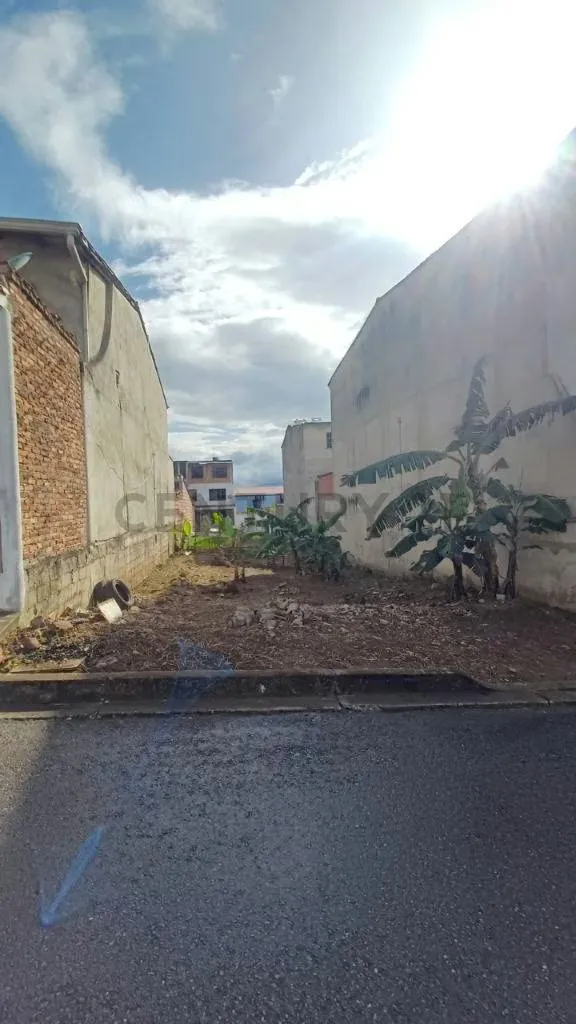 Terreno en venta palo gordo - 4
