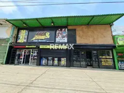 Vista 1