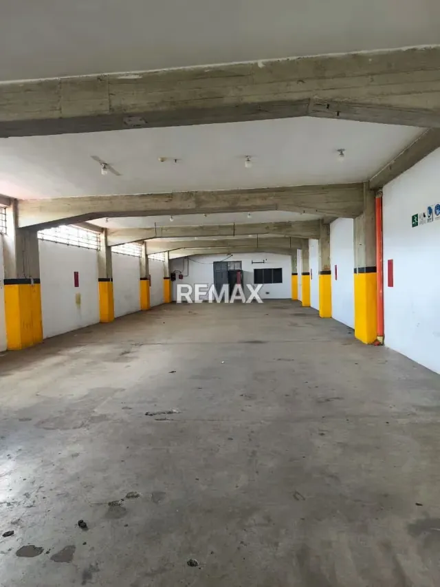 LOCAL COMERCIAL 500 MTS CATIA ALQUILER - 13