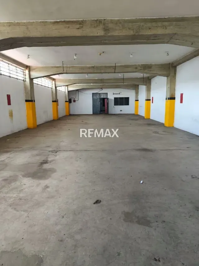 LOCAL COMERCIAL 500 MTS CATIA ALQUILER - 14