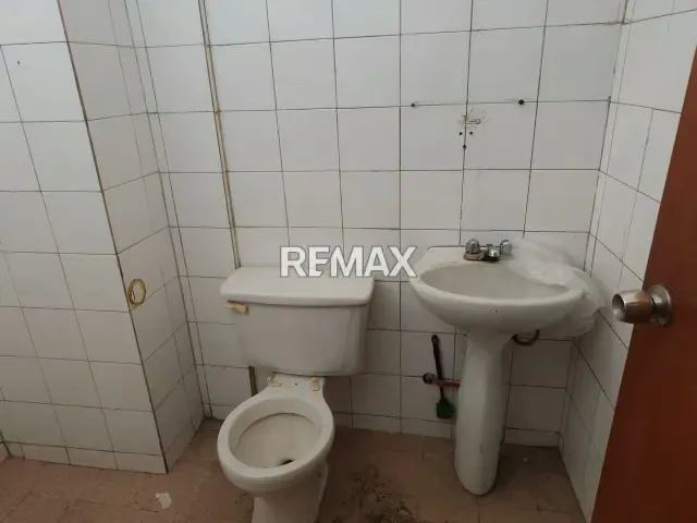 LOCAL COMERCIAL 500 MTS CATIA ALQUILER - 4