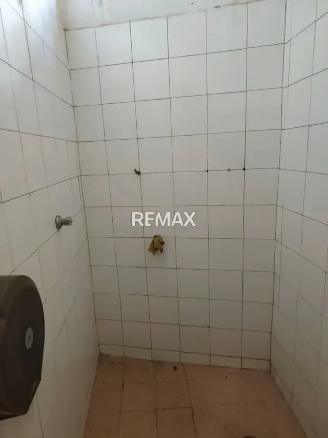 LOCAL COMERCIAL 500 MTS CATIA ALQUILER - 5