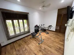 Vista 19