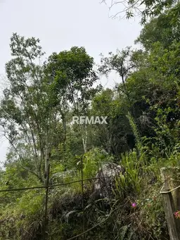 View 3