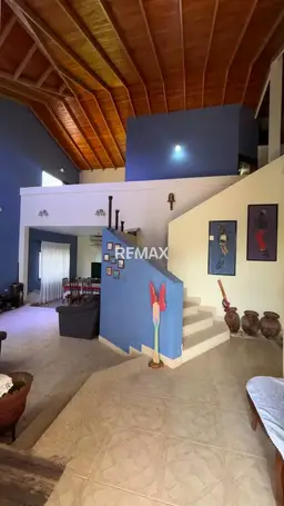 Vista 5