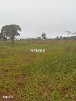View 1