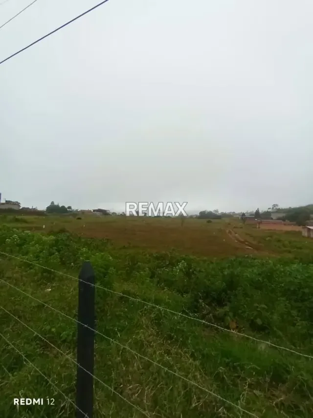 *Venta de Terreno* Ubicado en LOMAS BLANCAS de Cordero - 3