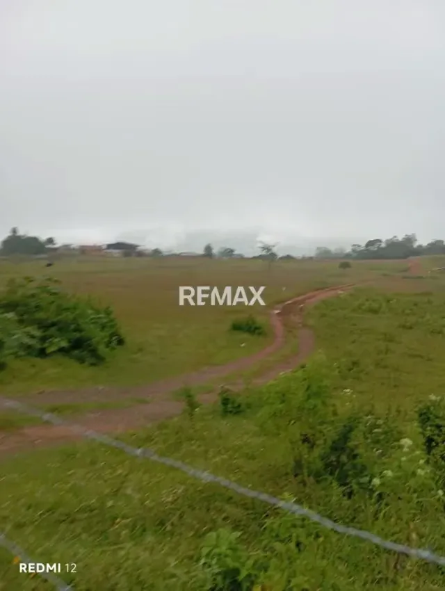 *Venta de Terreno* Ubicado en LOMAS BLANCAS de Cordero - 4