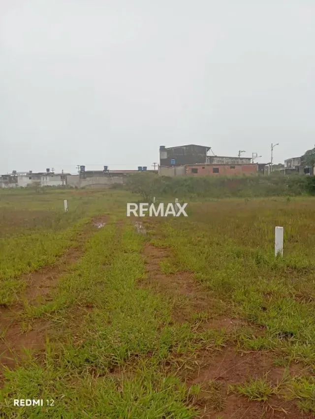 *Venta de Terreno* Ubicado en LOMAS BLANCAS de Cordero - 6