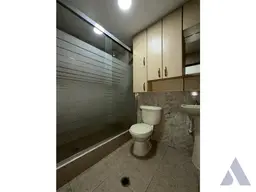 Vista 5