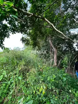 View 11