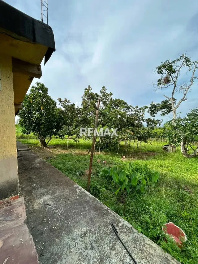 Granja en Nirgua - 3