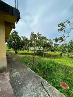 View 3