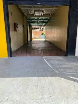 Vista 5