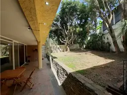 Vista 15