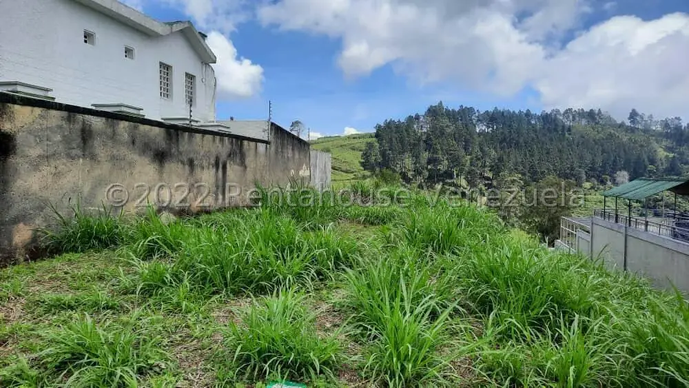 Terreno (Comercial) en Venta en Parque el Retiro, Miranda - 3