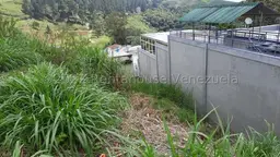 Vista 5