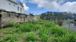 Vista 10
