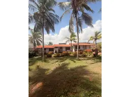 Vista 14