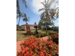 Vista 16