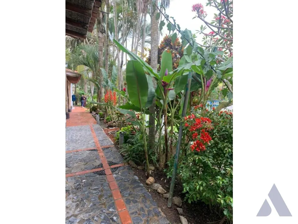 Vendo caballeriza Financiada, 14.000m2 Tejerías, Valle Alto - 12