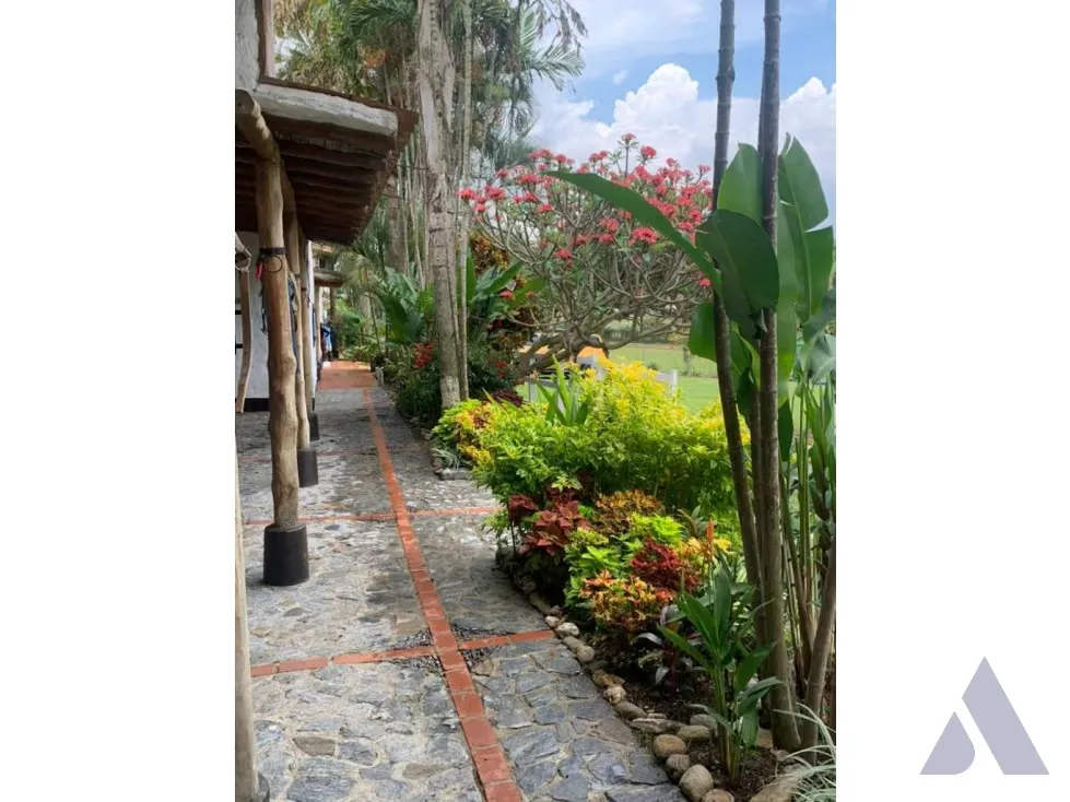 Vendo caballeriza Financiada, 14.000m2 Tejerías, Valle Alto - 13