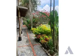 Vista 13