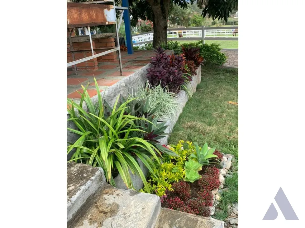 Vendo caballeriza Financiada, 14.000m2 Tejerías, Valle Alto - 14