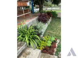 Vista 14