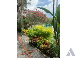 Vista 15