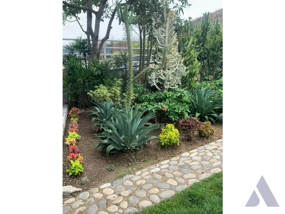 Vendo caballeriza Financiada, 14.000m2 Tejerías, Valle Alto - 16