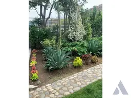 Vista 16