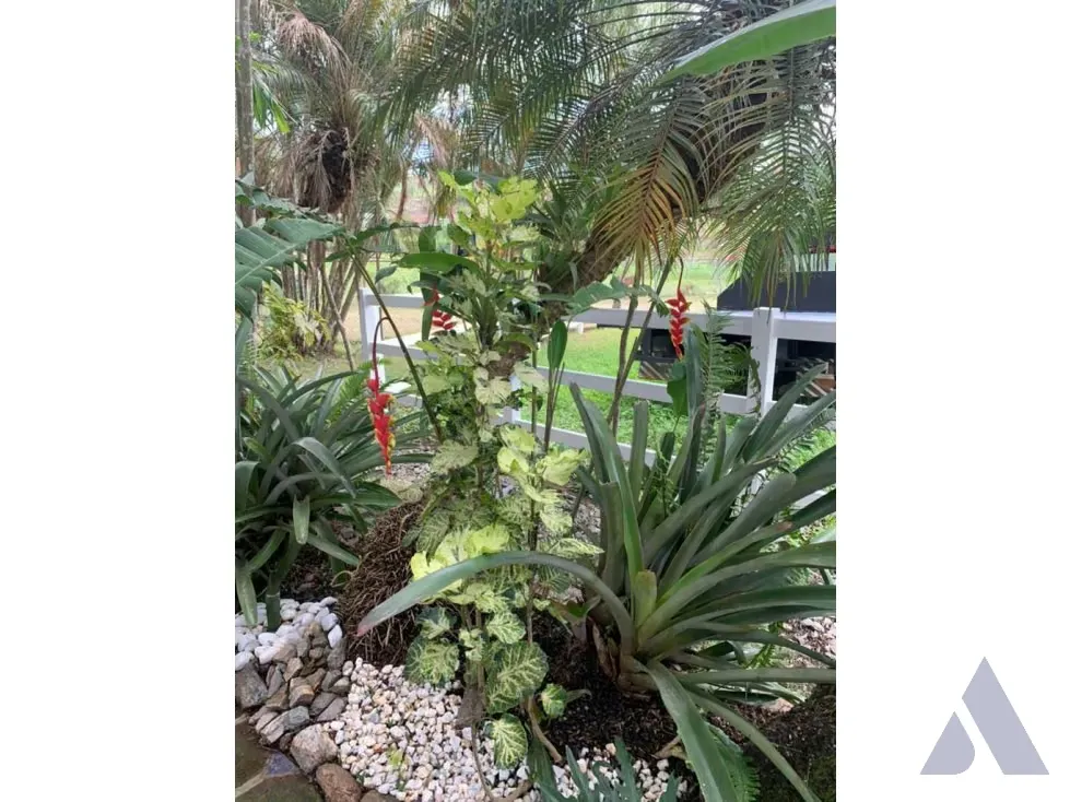 Vendo caballeriza Financiada, 14.000m2 Tejerías, Valle Alto - 17