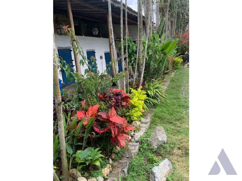 Vendo caballeriza Financiada, 14.000m2 Tejerías, Valle Alto - 18