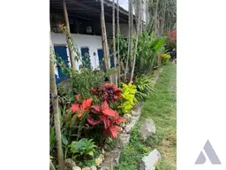 Vista 18
