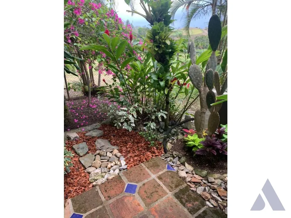Vendo caballeriza Financiada, 14.000m2 Tejerías, Valle Alto - 23