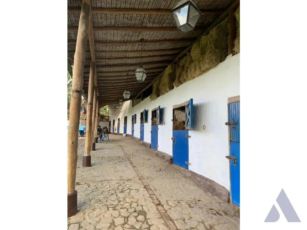 Vendo caballeriza Financiada, 14.000m2 Tejerías, Valle Alto - 26