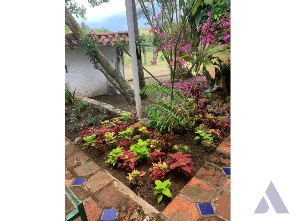 Vendo caballeriza Financiada, 14.000m2 Tejerías, Valle Alto - 27