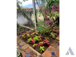 Vista 27