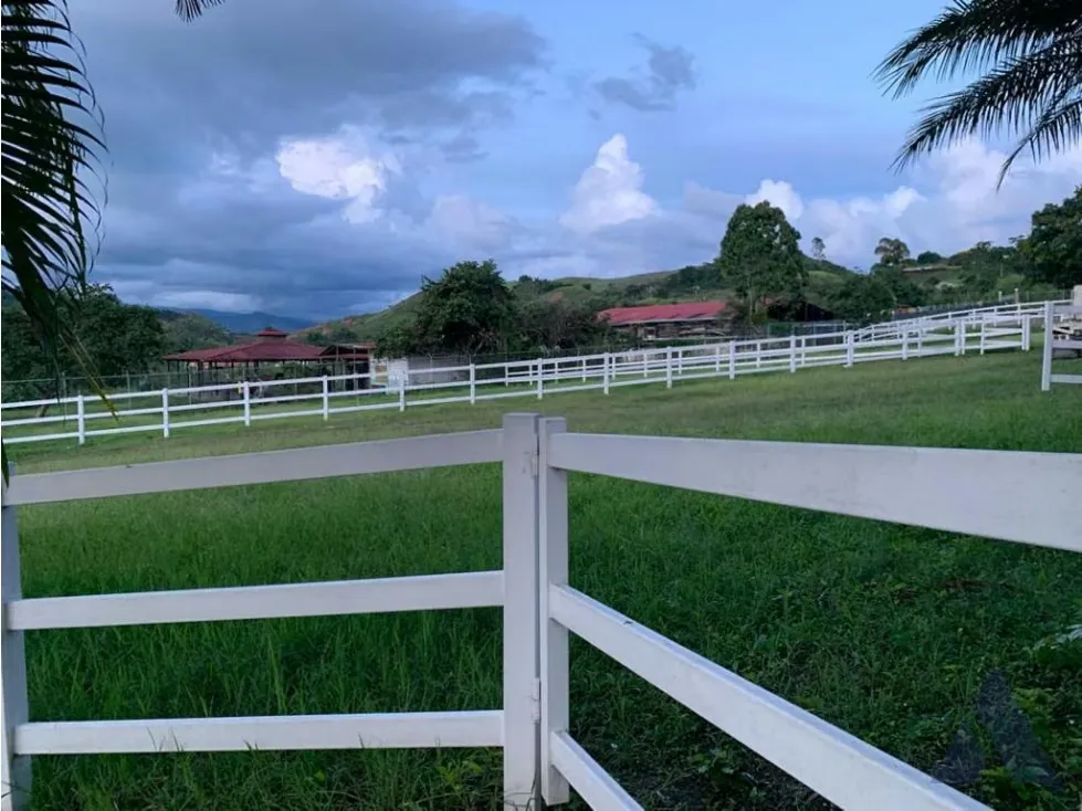 Vendo caballeriza Financiada, 14.000m2 Tejerías, Valle Alto - 6