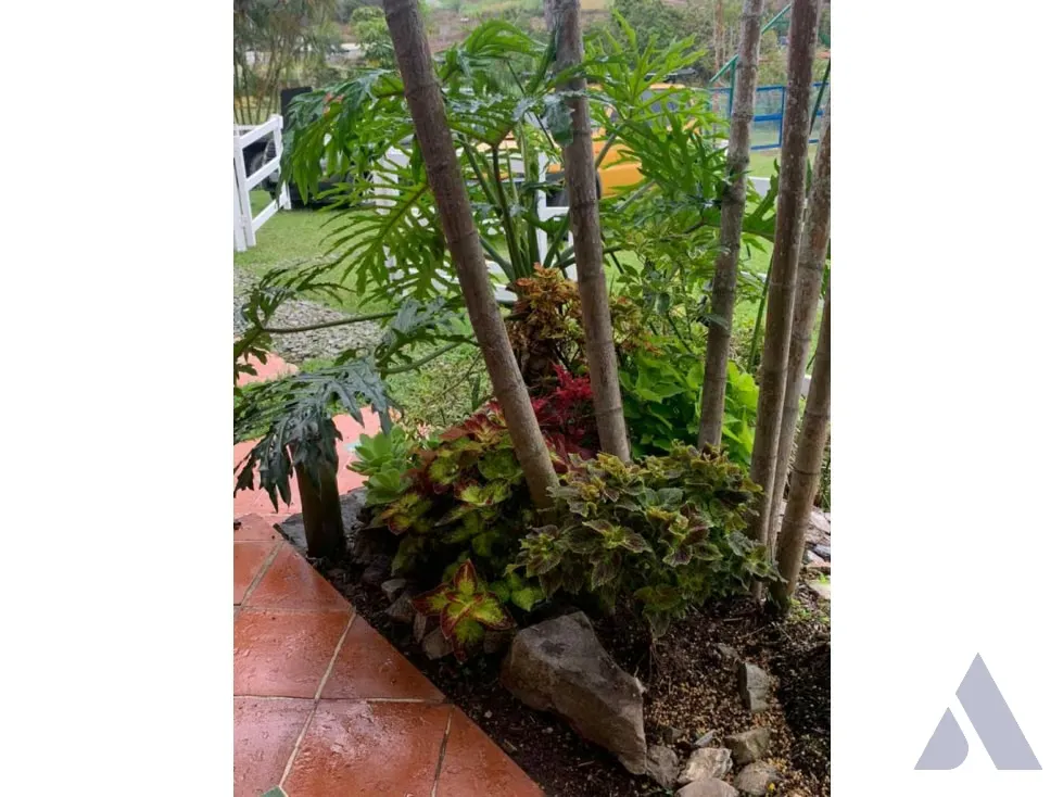 Vendo caballeriza Financiada, 14.000m2 Tejerías, Valle Alto - 51