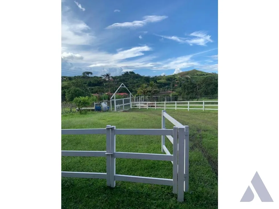Vendo caballeriza Financiada, 14.000m2 Tejerías, Valle Alto - 8