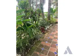 Vista 9
