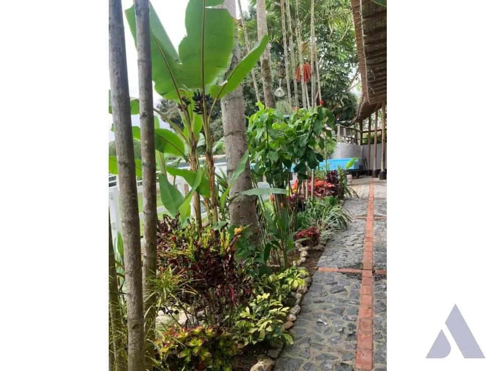 Vendo caballeriza Financiada, 14.000m2 Tejerías, Valle Alto - 10