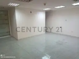 Vista 4