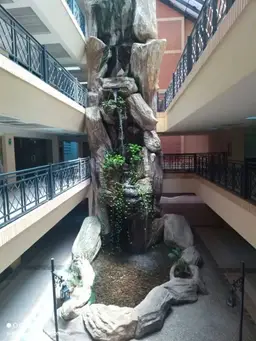 Vista 10