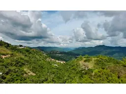 Vista 4