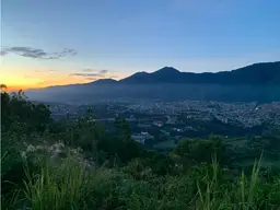Vista 1
