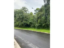 Vista 4