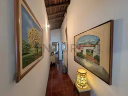 Vista 24